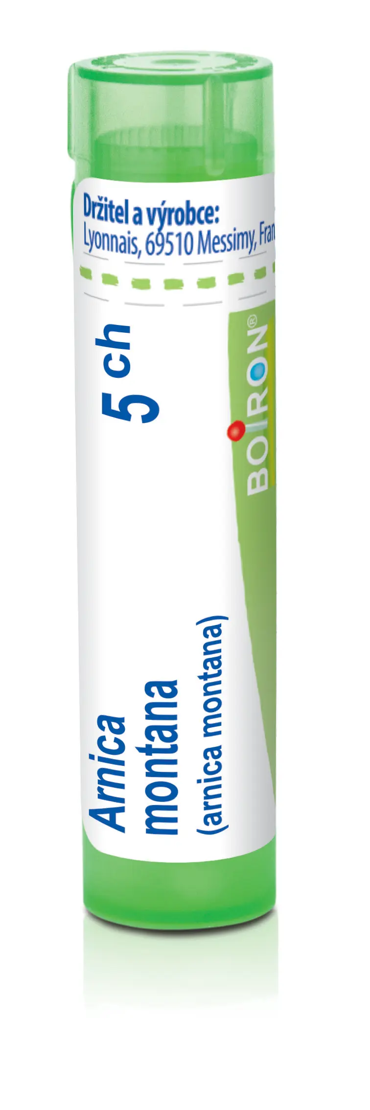 4447_ARNICA MONTANA 5